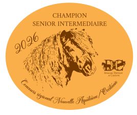 Champion Sénior Intermédiaire -  Nouvelle Aquitaine/Occitanie 2026
