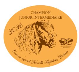 Champion Junior Intermédiaire -  Nouvelle Aquitaine/Occitanie 2026