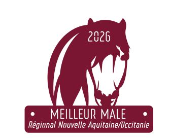 Meilleur Mâle -  Nouvelle Aquitaine/Occitanie 2026