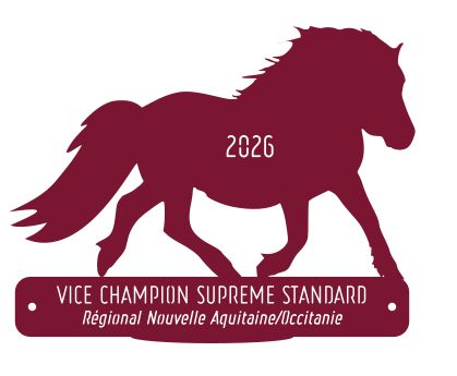 Vice champion suprême Standard -  Nouvelle Aquitaine/Occitanie 2026