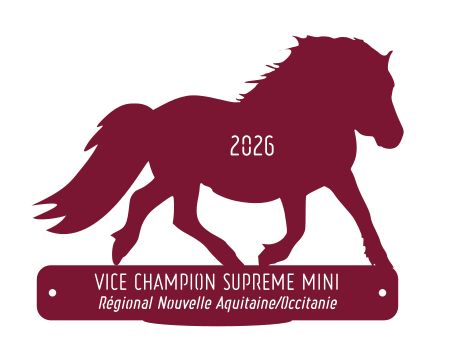 Vice Champion suprême Mini -  Nouvelle Aquitaine/Occitanie 2026