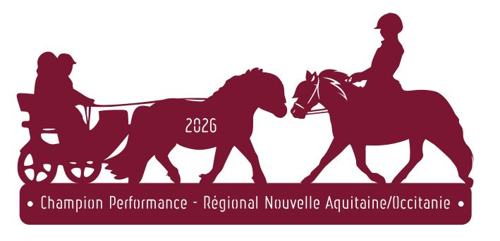 Champion performance  -  Nouvelle Aquitaine/Occitanie 2026