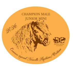 Pack de 2 plaques Junior Mini -  Nouvelle Aquitaine/Occitanie 2026