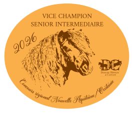 Vice Champion Senior Intermédiaire -  Nouvelle Aquitaine/Occitanie 2026