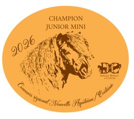 Champion Junior Mini -  Nouvelle Aquitaine/Occitanie 2026
