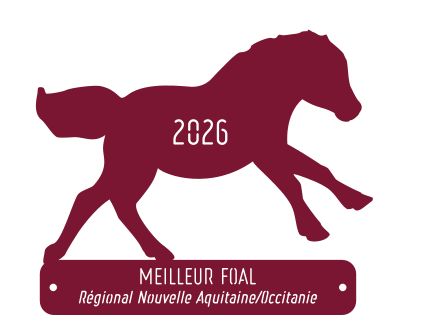 Meilleur foal -  Nouvelle Aquitaine/Occitanie 2026