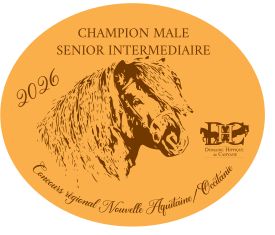 Pack de 2 plaques Senior Intermédiaire  -  Nouvelle Aquitaine/Occitanie 2026
