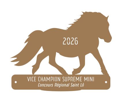 Vice Champion suprême Mini -  St Lô 2026