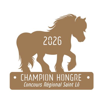 Champion Hongre - St Lô 2026 Champion Hongre - St Lô 2026