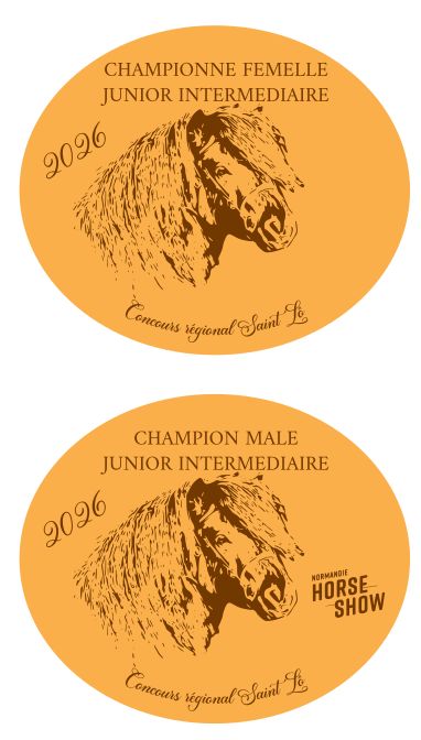 Pack de 2 plaques Junior Intermédiaire -  St Lô 2026