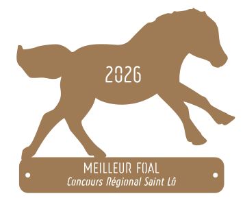 Meilleur foal -  St Lô 2026