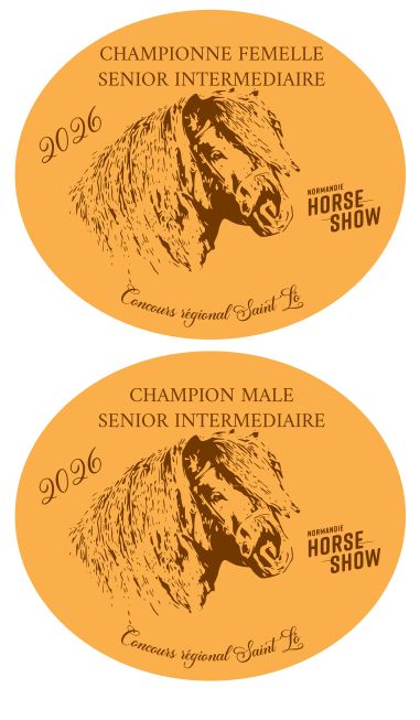 Pack de 2 plaques Senior Intermédiaire - St Lô 2026 Pack de 2 plaques Senior Intermédiaire - St Lô 2026