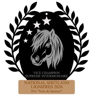 Vice Champion Suprême Intermédiaire -  National Lignières 2026
