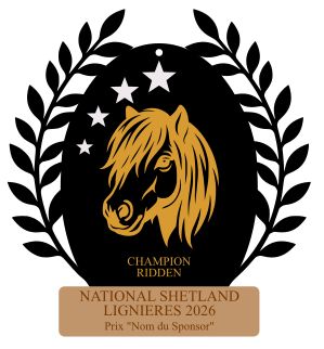 Champion Ridden -  National Lignières 2026