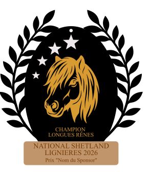 Champion Longues rênes -  National Lignières 2026