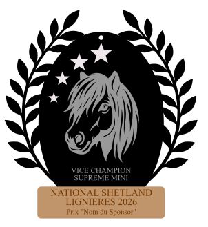 Vice Champion Suprême Mini  -  National Lignières 2026