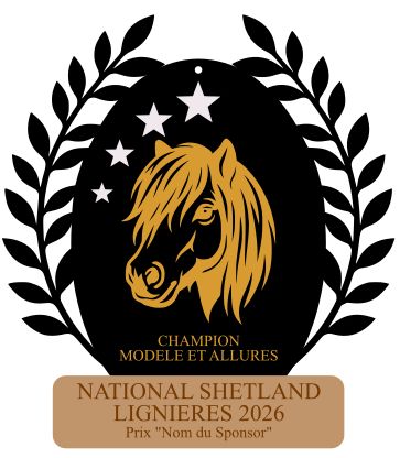 Champion M&A -  National Lignières 2026