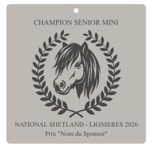 Champion Sénior Mini -  National Lignières 2026