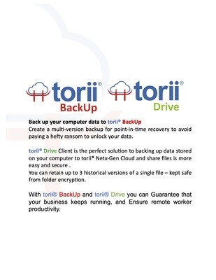 torii® BackUp