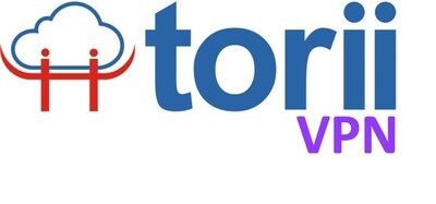 torii® VPN Monthly Subscription - 2 Devices (Hardware Based)