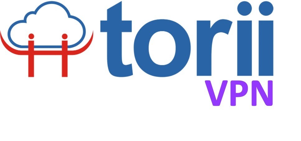 torii® VPN Yearly Subscription - 10 Devices + 1 x Public IP (Hardware Based)