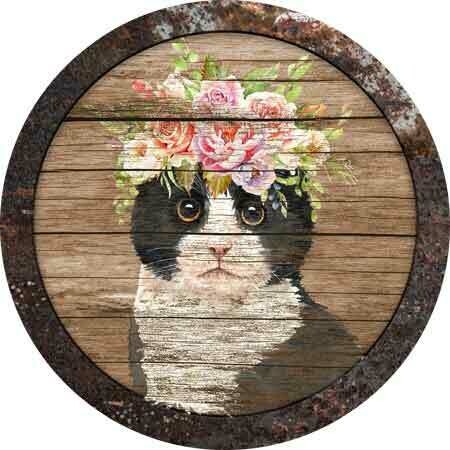 Rusty Feline Digital Design