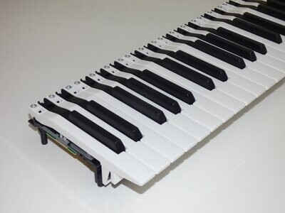 Klaviaturen mit MIDI-Elektronik (2 x Fatar 8L)