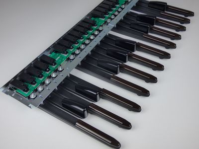 Orgelpedal (Stummel-Pedal) MIDI