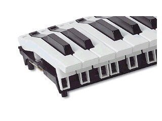 Klaviaturen mit MIDI-Elektronik (2 x Fatar 6LP) Klaviaturen mit MIDI-Elektronik (2 x Fatar 6LP)