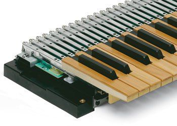 Klaviaturen mit MIDI-Elektronik (2 x Fatar 63LW) Klaviaturen mit MIDI-Elektronik (2 x Fatar 63LW)