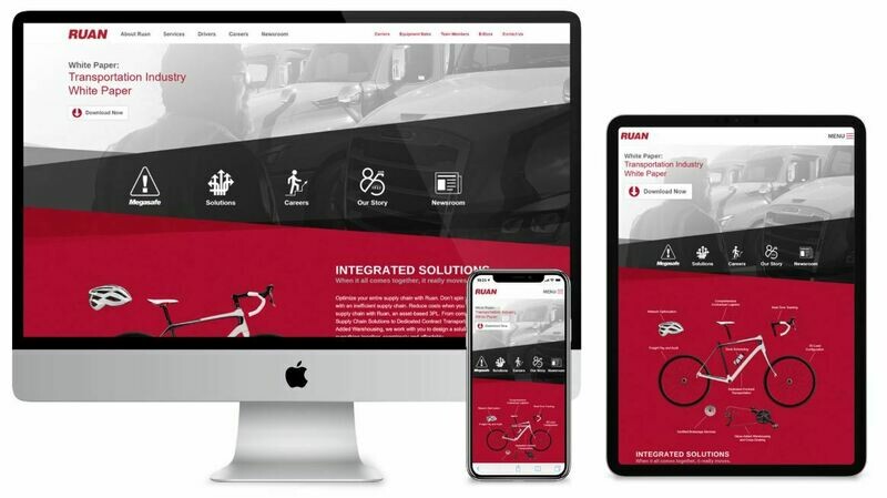 Website developer