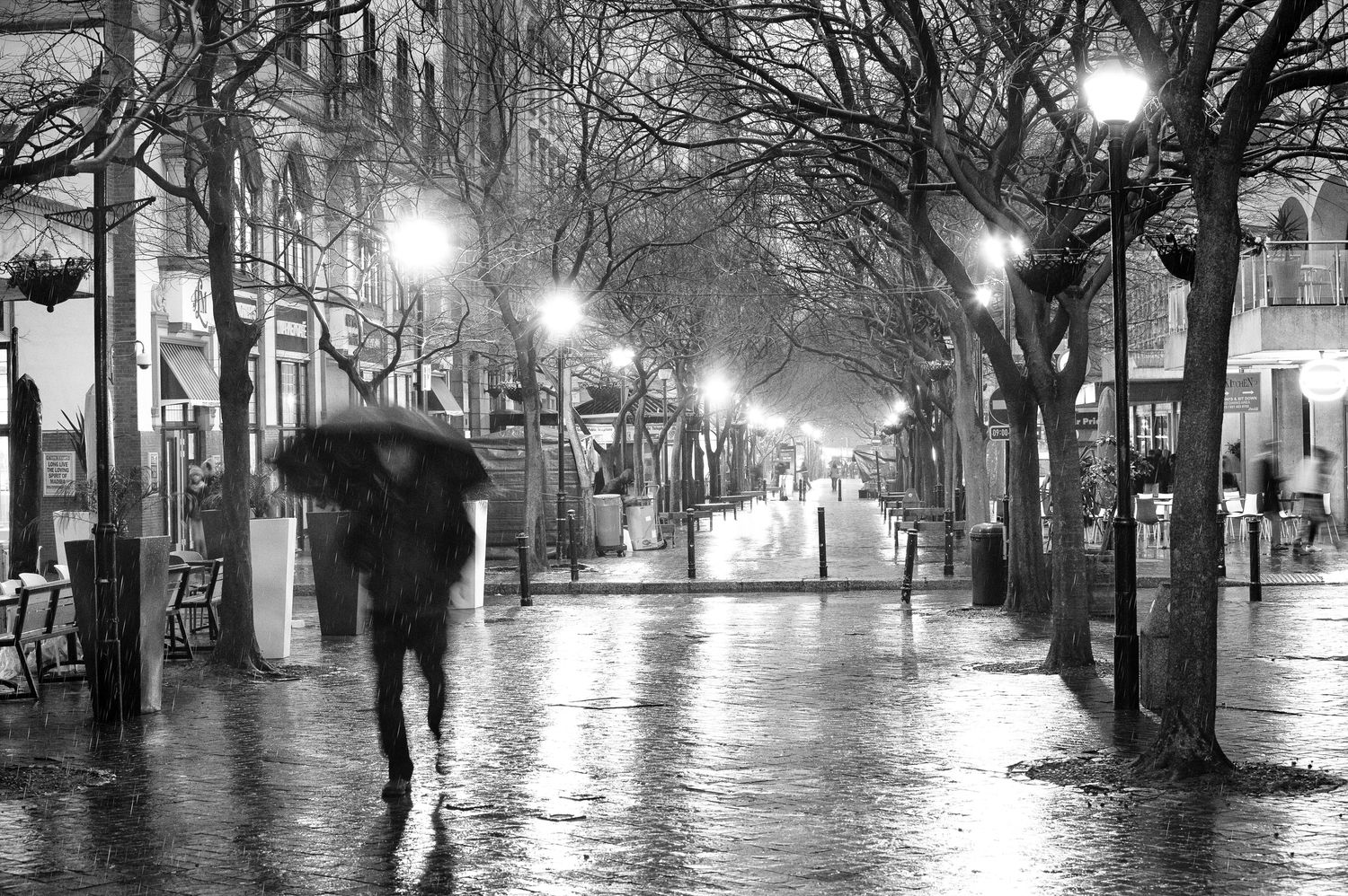 Loner - St Georges Mall