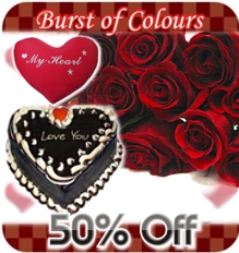 Burst of Colours (Roses.Cake.Pillow)