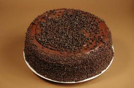 Chocolate Chip Cake