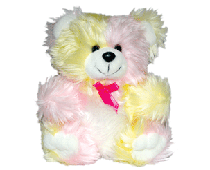 Shinning Bear stuffed toy