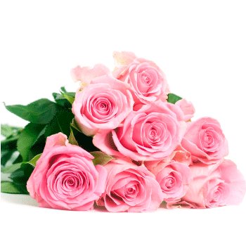 Pink Roses Bouquet