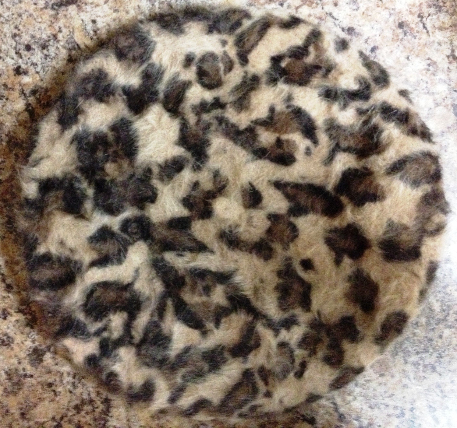 Leopard print beret beige background