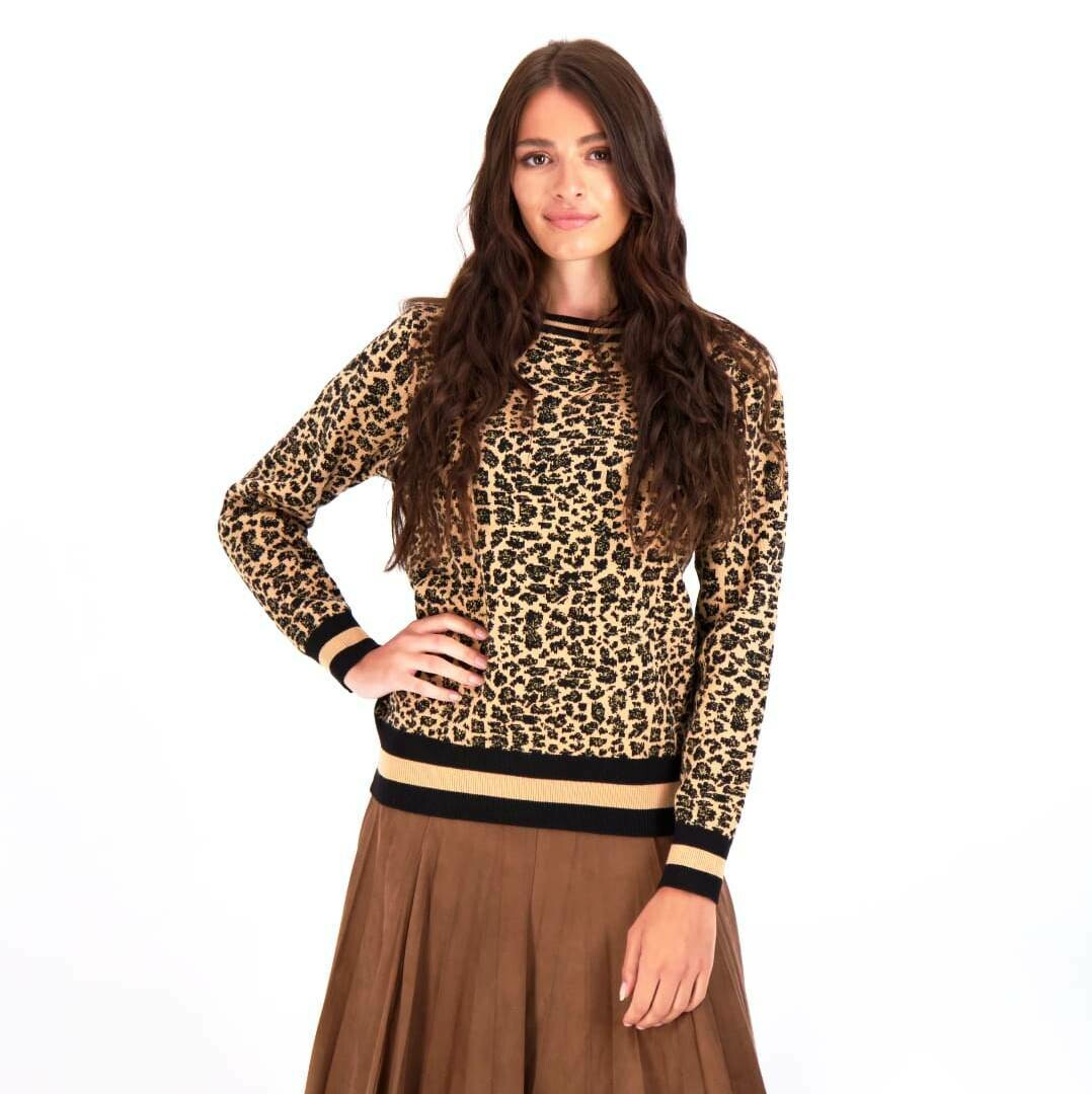Leopard Sweater Top