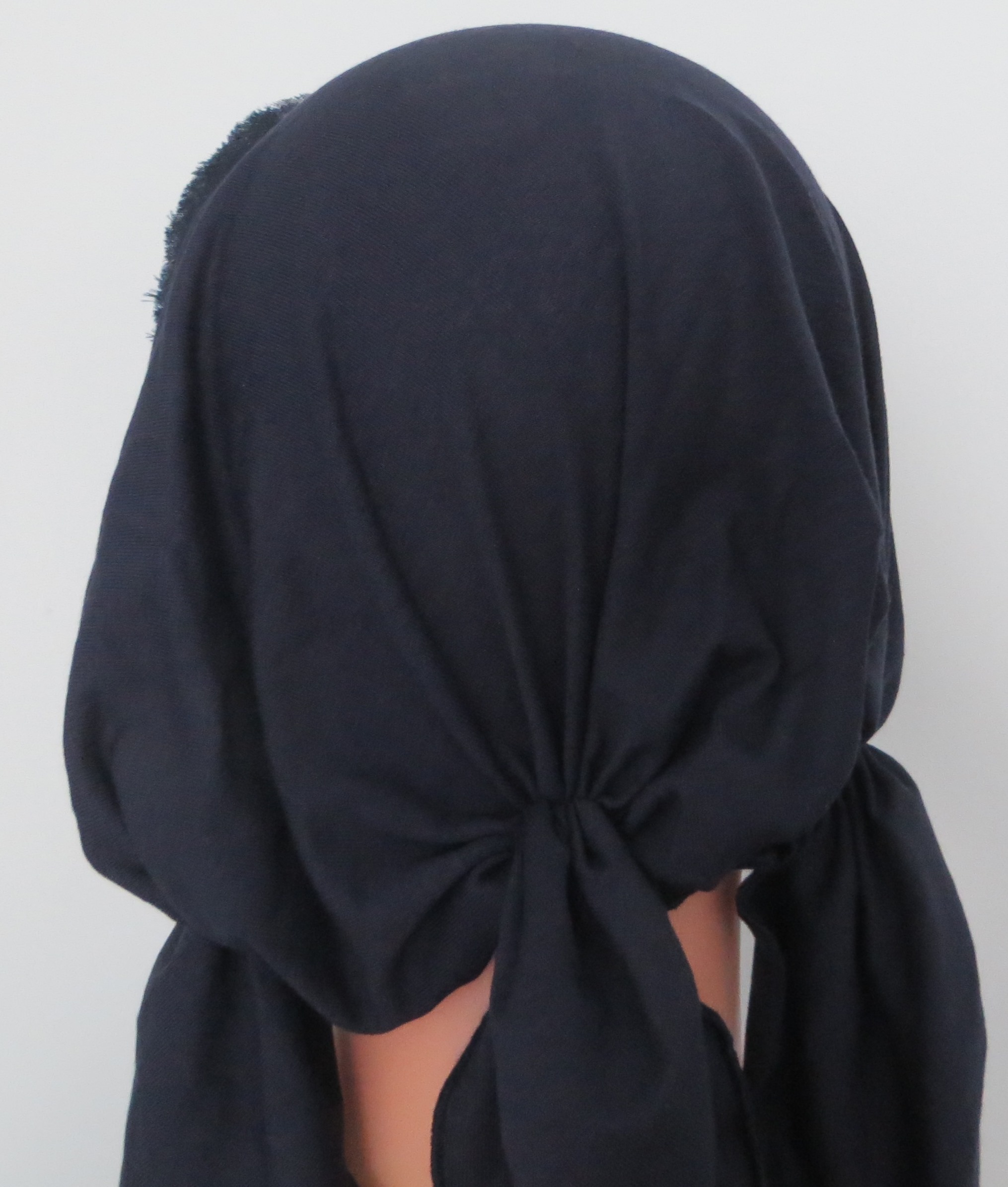 back view showing three tails