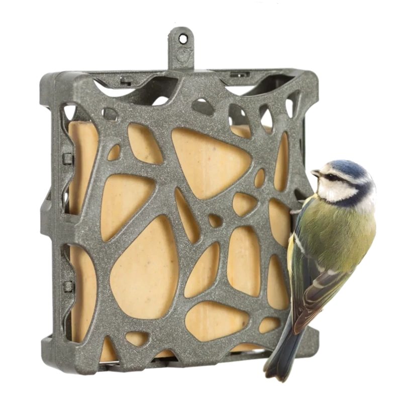 Suet cake feeder