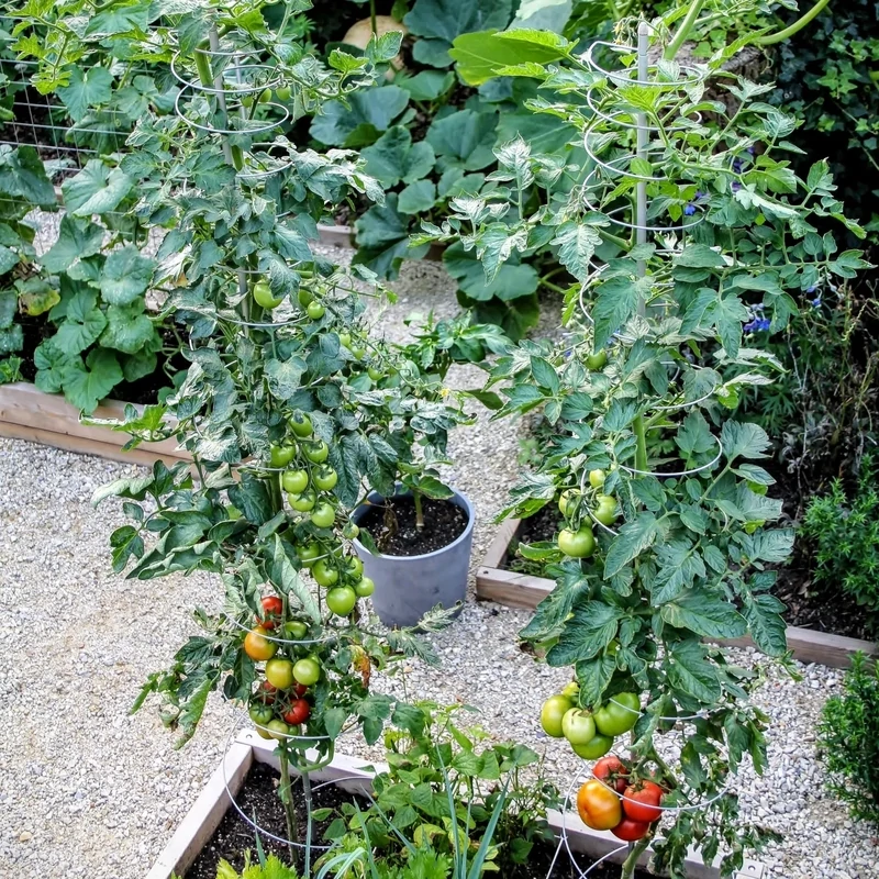 Expandable plant support