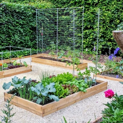 Raised beds