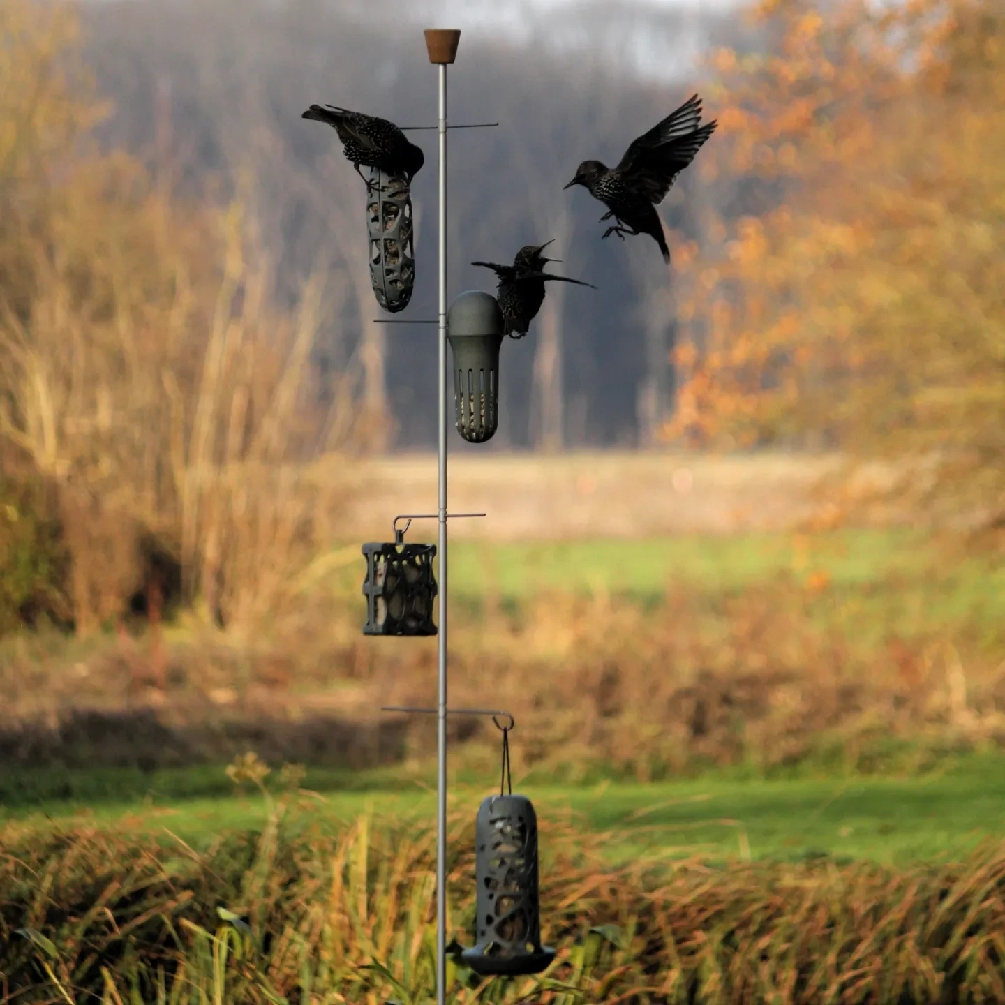 Einzigartiger Vogelfutterständer XL | 240 cm hoch | WITBOSCH | modulares und langlebiges design