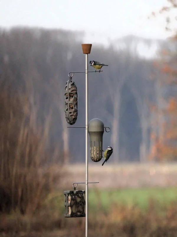 Unique bird feeding station L