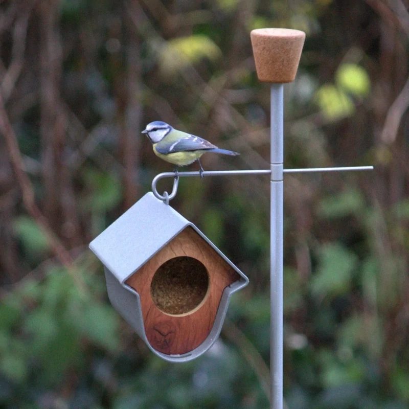 Unique bird feeding station