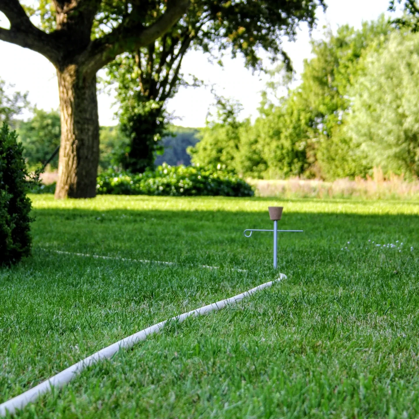 Alleskönner für Ihren Garten | WITBOSCH