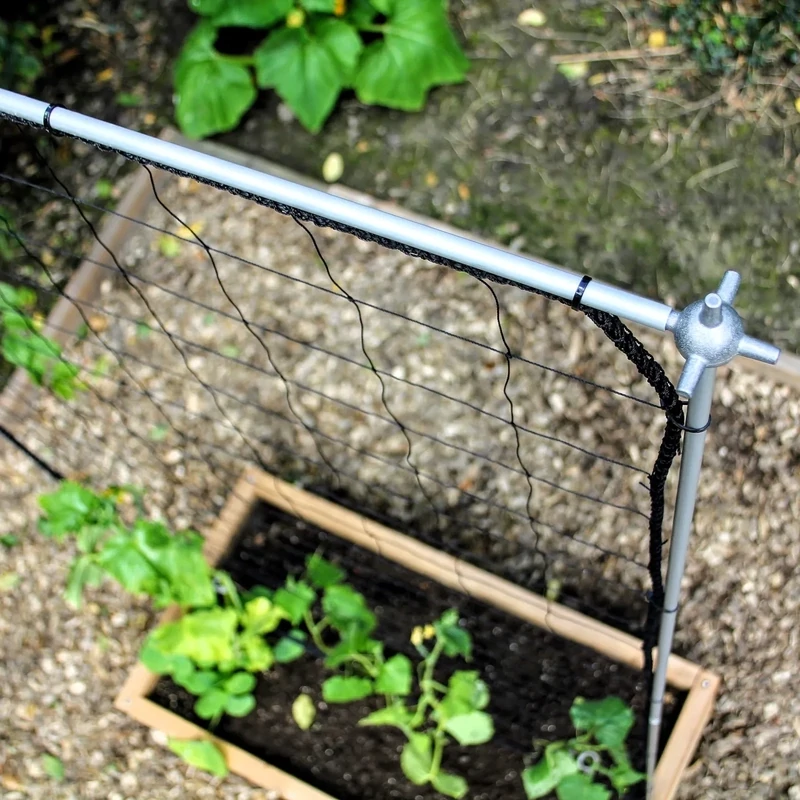 Trellis plant support for climbers