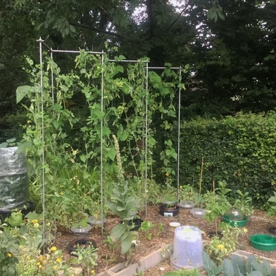 3 Stuks Tomaten Klimhulp, 120 Cm, Plantenklimhulp, Plantenhouder Voor Tomaten Komkommers Planten Tuin 1633789069