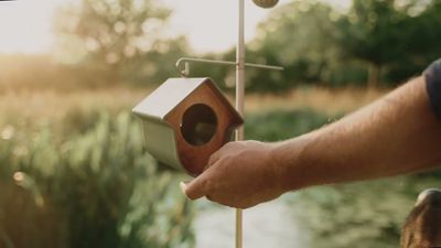 Gevulde cocosnoot voor buitenvogels