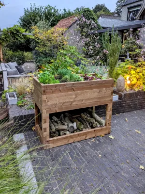 Wooden raised garden bed on stilts